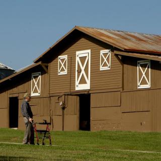 A person using a walker beside a rustic barn on a sunny day.