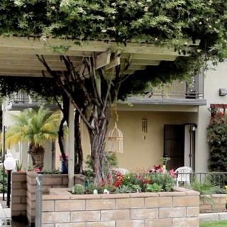 A garden with lush foliage in front of an apartment building.