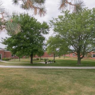 A serene outdoor park area with trees, benches, and a pathway near brick buildings.