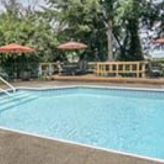 Outdoor swimming pool with deck chairs and umbrellas surrounded by trees.