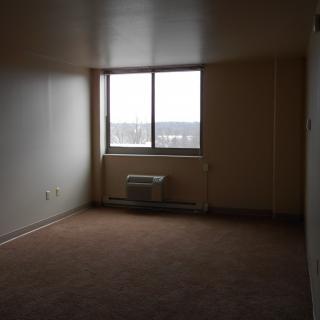 Springview Tower
