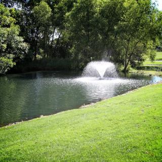 A serene landscape featuring a pond with a fountain surrounded by lush greenery and trees.