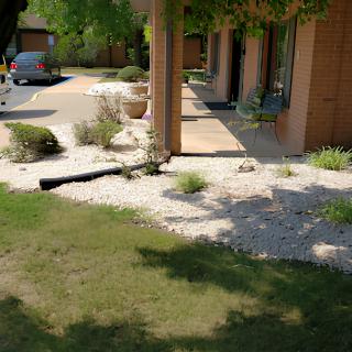 A xeriscaped garden with desert plants and rocks next to a building.