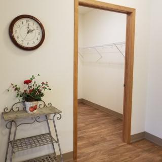 An interior view of a hallway featuring a clock, plant decor, and an entrance to an empty walk-in closet with wooden flooring.