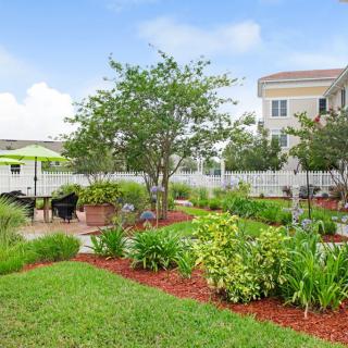 A well-maintained garden with a variety of plants and trees in a residential area.