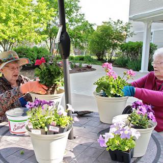 Two elderly people gardening together with potted plants outdoors.