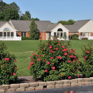 A suburban house with a well-maintained garden filled with blooming roses.