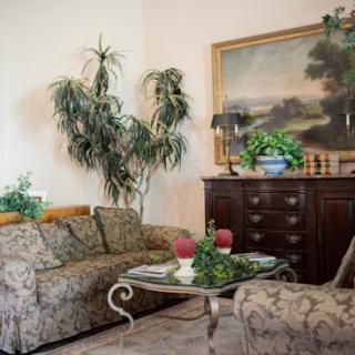 A cozy living room featuring a patterned sofa, decorative plants, and a classic painting.