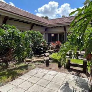 A serene courtyard garden with lush greenery and a stone pathway under a clear blue sky.