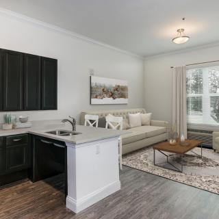 A modern open-concept living room with a kitchen area, featuring stylish furnishings and decor.