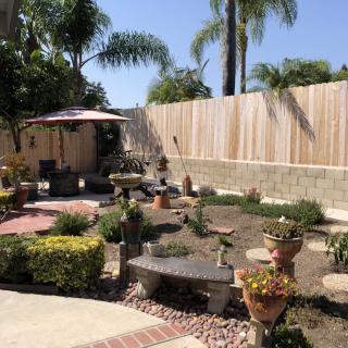 A beautifully landscaped backyard garden with a variety of plants, patio furniture, and a wooden fence under a clear blue sky.
