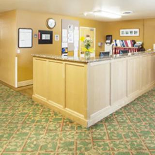 A hotel reception desk with a patterned carpet and various informational materials on the counter.