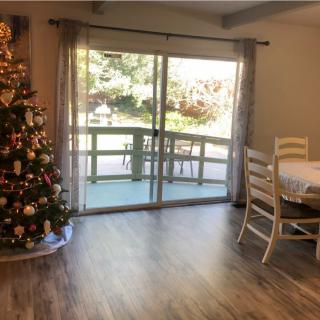 A cozy living room decorated with a Christmas tree, featuring a dining area next to sliding glass doors.