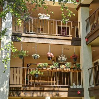 A sunny apartment balcony adorned with hanging plants and flowers.