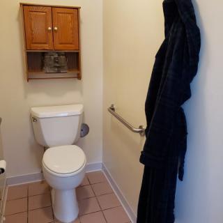 A small bathroom featuring a toilet, wall-mounted cabinet, and a robe hanging on a towel rack.