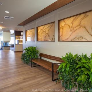 A well-lit lobby area featuring wooden benches, green plants, and decorative wall art.