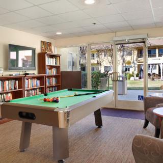 A cozy recreation room featuring a pool table, bookshelf, and seating area with a view of the garden.