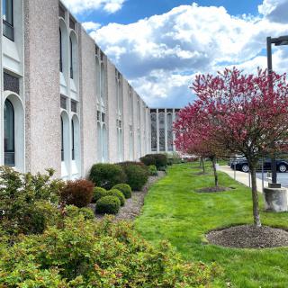 A view of a building with a landscaped path, blooming trees, and a cloudy sky.