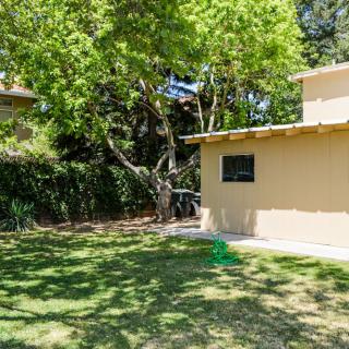 A sunny backyard with a tree and a small building.