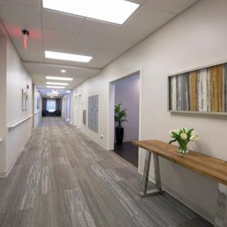 A modern office hallway with stylish decor and lighting.