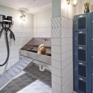 A grooming station featuring a dog in a bath tub with nearby lockers and grooming tools.
