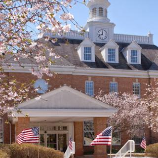 A charming municipal building adorned with cherry blossoms and American flags, showcasing classic architectural design.