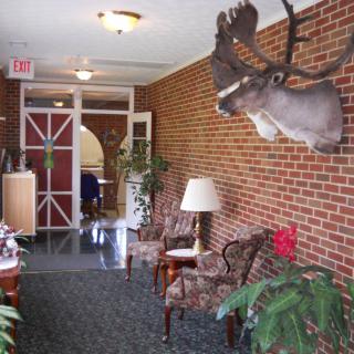 A cozy lobby area featuring brick walls, decorative plants, and chairs with a mounted moose head on the wall.
