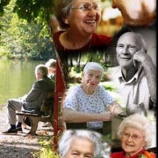 Cherishing moments of joy and companionship in the golden years.
