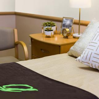 A cozy bedroom space featuring a neatly made bed, decorative pillows, and a nightstand with a plant and lamp.