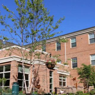 A brick building with large windows and a small tree in the foreground against a clear blue sky.