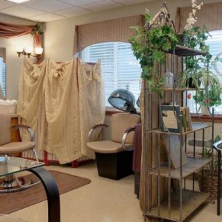 A cozy salon interior with chairs, curtains, and decorative plants.