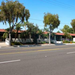 A suburban street lined with palm trees and houses.