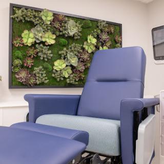 A comfortable patient chair in a modern healthcare setting, complemented by a vibrant green wall of succulent plants.
