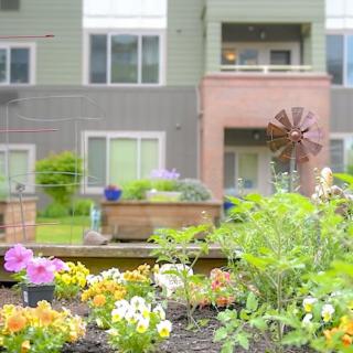 A vibrant garden full of flowers in front of an apartment building.