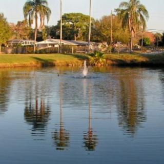 A peaceful lake with a fountain, surrounded by palm trees and reflecting the serene surroundings.