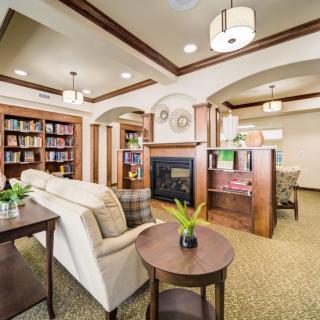 Cozy living room with a fireplace and bookshelves.