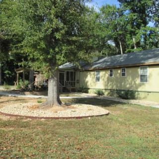 A single-story house with a large tree in the front yard, surrounded by greenery.