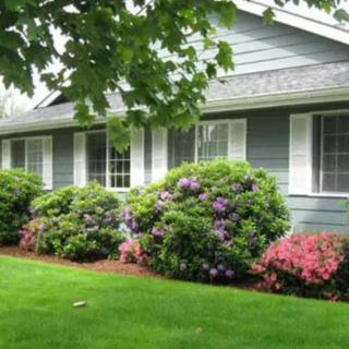 A charming house with well-maintained landscaping featuring lush bushes and vibrant flowers.
