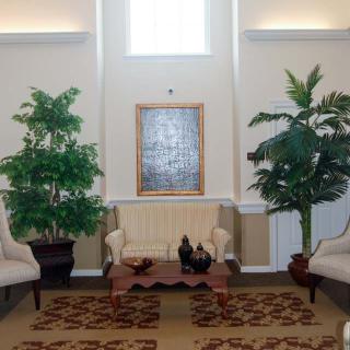 A well-decorated living room featuring a sofa, two armchairs, and indoor plants.