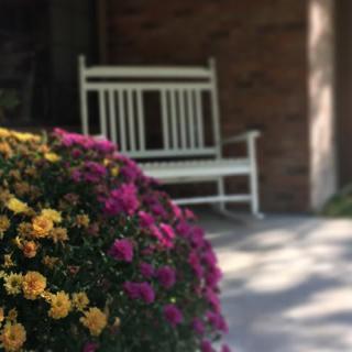 A peaceful garden scene featuring a white bench and blooming colorful flowers.