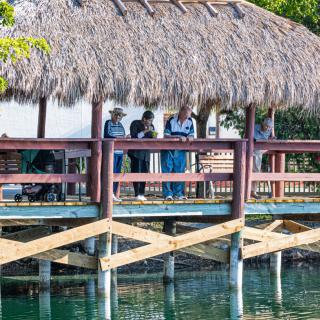 People standing under a thatched roof on a dock by the water.