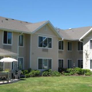 A modern residential apartment building with landscaped surroundings.