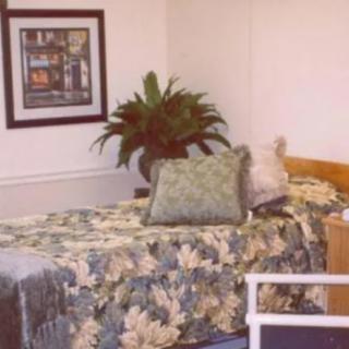 A cozy bedroom featuring a bed with floral bedding, decorative pillows, a potted plant, and framed artwork on the wall.