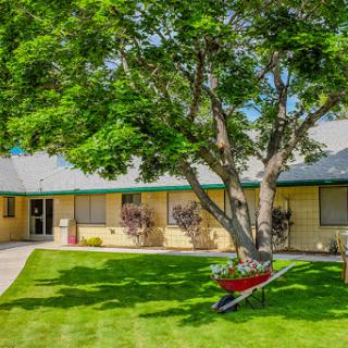 A charming house surrounded by a well-maintained garden and lush green lawn, featuring a tree and a wheelbarrow.