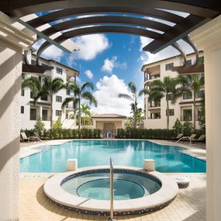 A stunning view of a modern pool area surrounded by palm trees and clear blue skies.