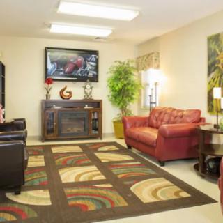 A cozy living room with modern decor, featuring a couch, armchairs, a television above a fireplace, and an indoor plant.