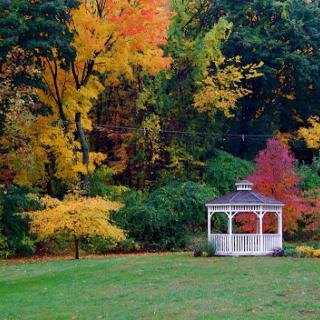 A serene gazebo surrounded by vibrant autumn foliage.