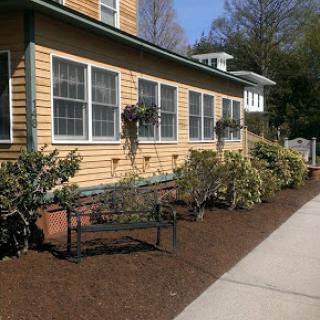 A sunny day showcases a charming house with a well-maintained garden and inviting bench.