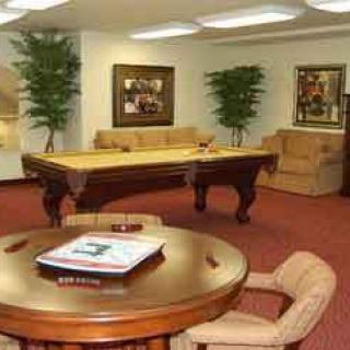 A cozy game room featuring a pool table, seating area, and indoor plants.
