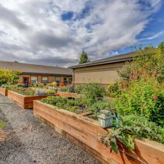 A picturesque view of a vegetable garden featuring raised beds filled with various plants, surrounded by a natural landscape under a cloudy sky.